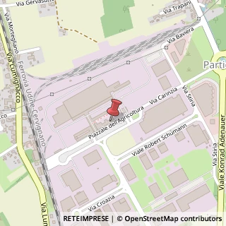 Mappa Piazzale dell'Agricoltura, 16, 33100 Udine, Udine (Friuli-Venezia Giulia)