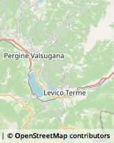 Autotrasporti Novaledo,38050Trento