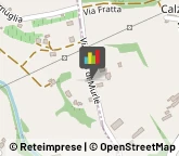 Legna da ardere,32034Belluno