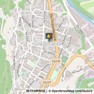 Articoli per Ortopedia Tione di Trento,38079Trento