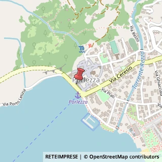 Mappa Via Lungo Lago Giacomo Matteotti, 6, 22018 Porlezza, Como (Lombardia)