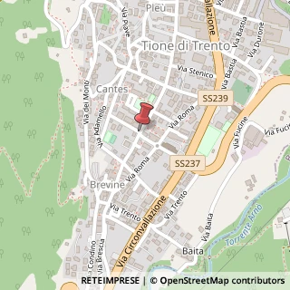 Mappa Viale dante 21, 38079 Tione di Trento, Trento (Trentino-Alto Adige)