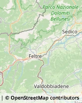 Frutta e Verdura - Dettaglio Santa Giustina,32035Belluno