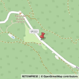 Mappa SP222, 195, 38071 Tione di Trento, Trento (Trentino-Alto Adige)