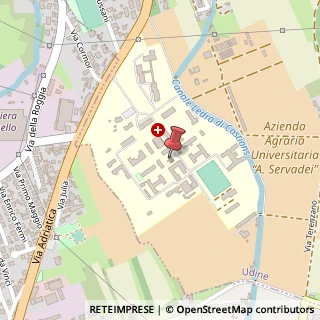 Mappa Via Benedetto Gravina, 43, 33100 Udine, Udine (Friuli-Venezia Giulia)