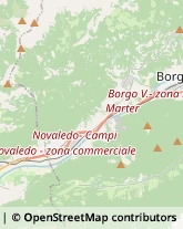 Agenti e Rappresentanti di Commercio Telve di Sopra,38050Trento