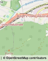 Ambulatori e Consultori Borgo Valsugana,38051Trento