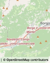 Elettrodomestici Telve,38050Trento