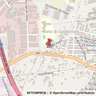 Mappa Via dei Platani, 47, 00012 Guidonia Montecelio, Roma (Lazio)