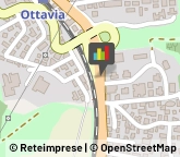 Ottica, Occhiali e Lenti a Contatto - Dettaglio Roma,00135Roma