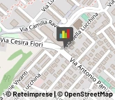 Ottica, Occhiali e Lenti a Contatto - Dettaglio Roma,00135Roma