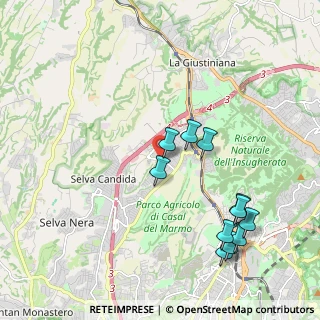 Mappa Via Annie Vivanti, 00135 Roma RM, Italia (2.29727)