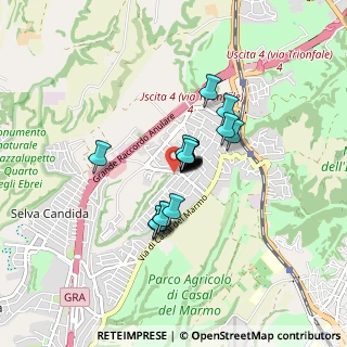 Mappa Via Annie Vivanti, 00135 Roma RM, Italia (0.479)