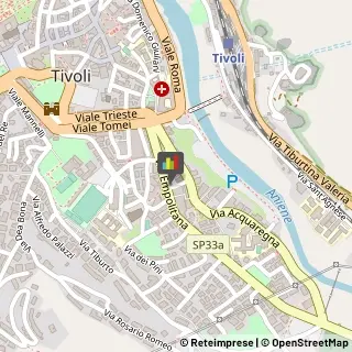 Energia Elettrica - Societa di Produzione,00019Roma
