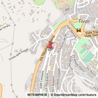 Mappa Via San Bernardino da Siena, 13, 00019 Tivoli, Roma (Lazio)