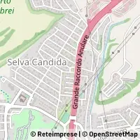 Map Roma