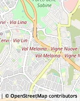 Via Nemorense, 96,00199Roma