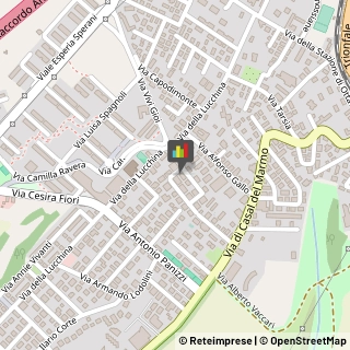 Sellerie e Tappezzerie Veicoli - Riparazione e Lavorazione Roma,00135Roma