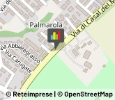 Ottica, Occhiali e Lenti a Contatto - Dettaglio Roma,00135Roma