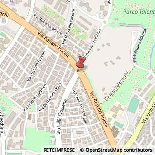 Mappa Via fucini renato, 00137 Roma, Roma (Lazio)