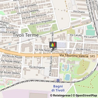 Tecniche - Scuole Private,00011Roma