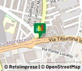 Agenti e Rappresentanti di Commercio,00010Roma