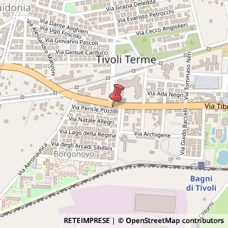Mappa Via Nazionale Tiburtina, 357, 00011 Tivoli, Roma (Lazio)