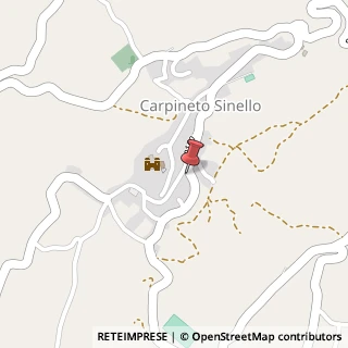 Mappa Via Madonna dell'Asilo, 5, 66030 Carpineto Sinello CH, Italia, 66030 Carpineto Sinello, Chieti (Abruzzo)