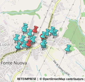Mappa Via Salvatoretto, 00043 Fonte Nuova RM, Italia (0.391)