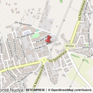Mappa Via dei Pini, 00013 Tor Lupara RM, Italia, 00013 Fonte Nuova, Roma (Lazio)