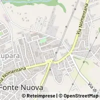 지도 Fonte Nuova