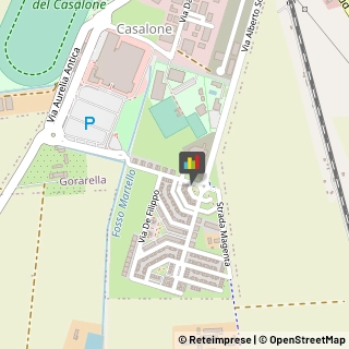 Consulenza Informatica,58100Grosseto