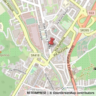 Mappa Via Flaminia, 46, 06049 Spoleto, Perugia (Umbria)
