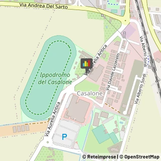 Impianti Sportivi Grosseto,58100Grosseto