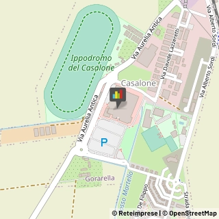 Articoli Sportivi - Dettaglio,58100Grosseto