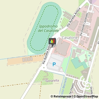 Logopedia,58100Grosseto