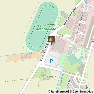Alimentari,58100Grosseto