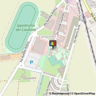 Impianti Sportivi Grosseto,58100Grosseto