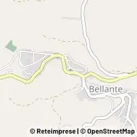 Peta Bellante
