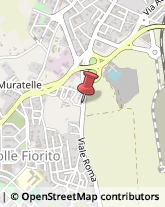 Viale Roma, 254,00012Guidonia Montecelio