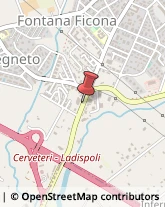 Via Settevene Palo, 10,00052Cerveteri