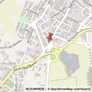 Mappa Via Appio Claudio, 4, 00012 Guidonia Montecelio, Roma (Lazio)