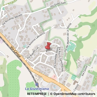 Mappa Via Lodovico Settala, 35, 00123 Roma, Roma (Lazio)
