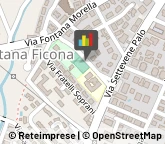 Associazioni e Federazioni Sportive Cerveteri,00052Roma