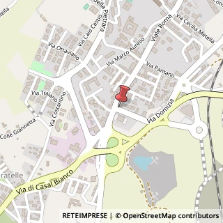 Mappa Viale roma 21, 00012 Guidonia Montecelio, Roma (Lazio)