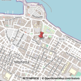 Mappa Via Natale Palummo Senatore, 7, 70056 Molfetta, Bari (Puglia)