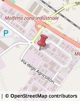 Via Antichi Pastifici, A/8,70056Molfetta