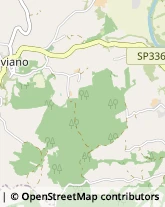 Via Cancello, 360,81100Caserta