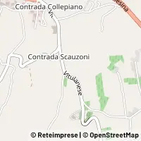 Peta Torrecuso