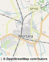 Parrucchieri Mortara,27036Pavia